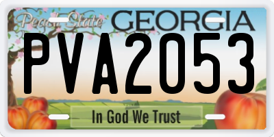 GA license plate PVA2053