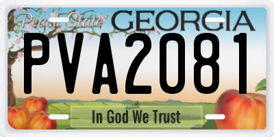 GA license plate PVA2081