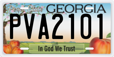 GA license plate PVA2101