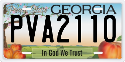 GA license plate PVA2110