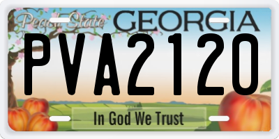 GA license plate PVA2120