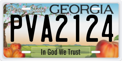 GA license plate PVA2124