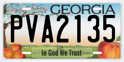GA license plate PVA2135