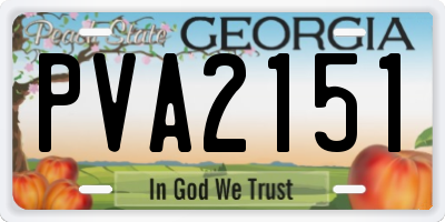 GA license plate PVA2151