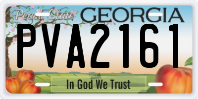GA license plate PVA2161