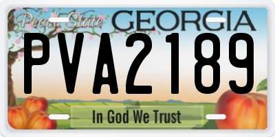 GA license plate PVA2189