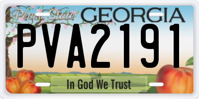 GA license plate PVA2191