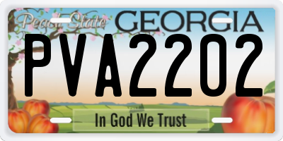 GA license plate PVA2202