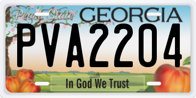 GA license plate PVA2204