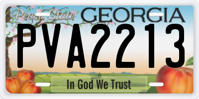 GA license plate PVA2213
