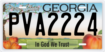 GA license plate PVA2224