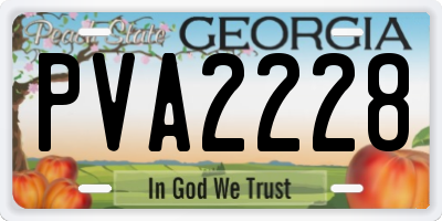 GA license plate PVA2228