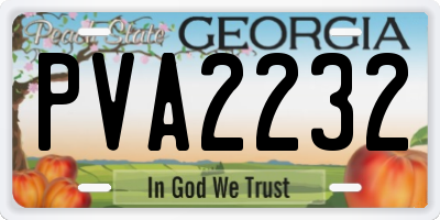 GA license plate PVA2232