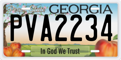 GA license plate PVA2234
