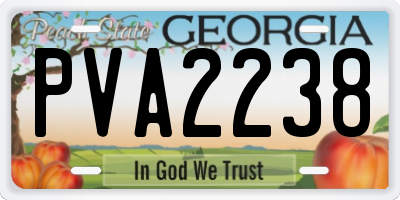 GA license plate PVA2238