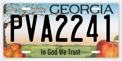 GA license plate PVA2241