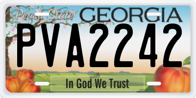 GA license plate PVA2242