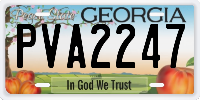 GA license plate PVA2247