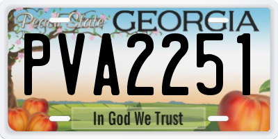 GA license plate PVA2251