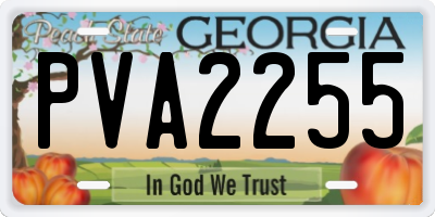 GA license plate PVA2255