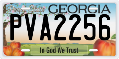 GA license plate PVA2256