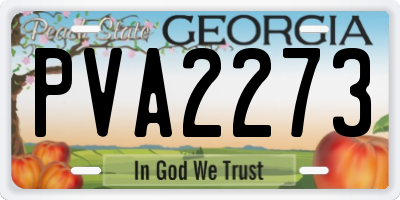 GA license plate PVA2273