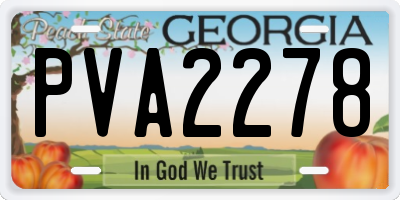 GA license plate PVA2278