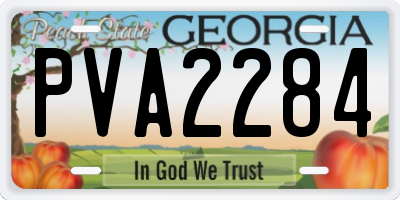 GA license plate PVA2284