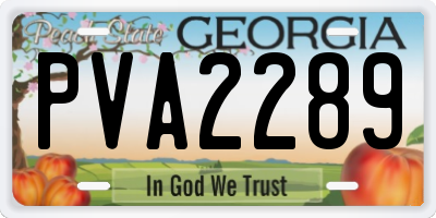 GA license plate PVA2289