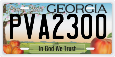 GA license plate PVA2300