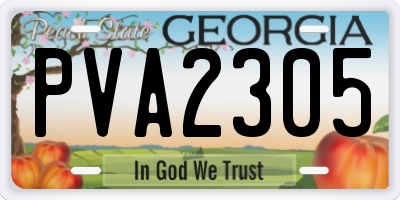 GA license plate PVA2305