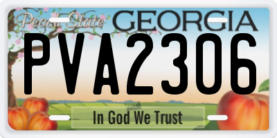 GA license plate PVA2306