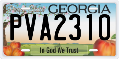 GA license plate PVA2310
