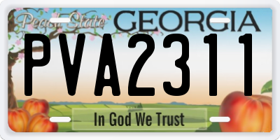 GA license plate PVA2311