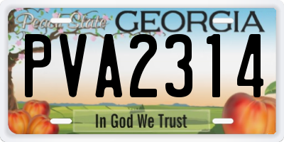 GA license plate PVA2314