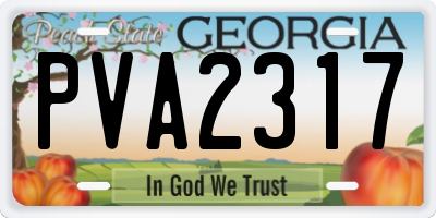 GA license plate PVA2317