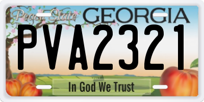 GA license plate PVA2321