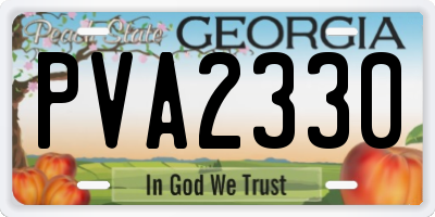 GA license plate PVA2330