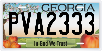 GA license plate PVA2333