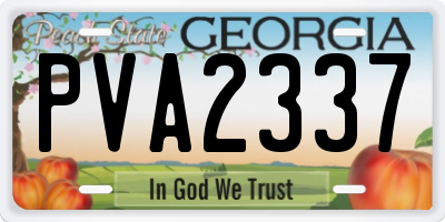 GA license plate PVA2337