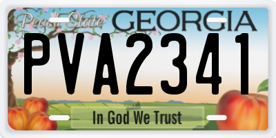 GA license plate PVA2341