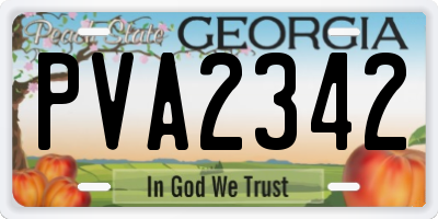 GA license plate PVA2342