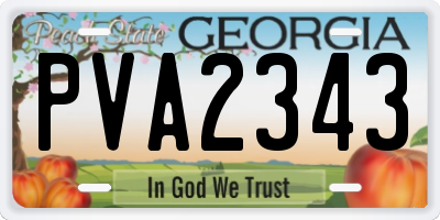 GA license plate PVA2343
