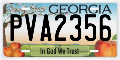 GA license plate PVA2356