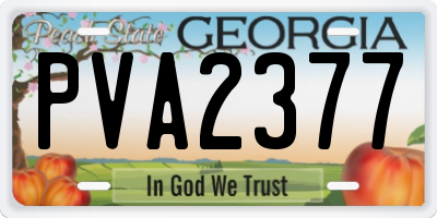 GA license plate PVA2377