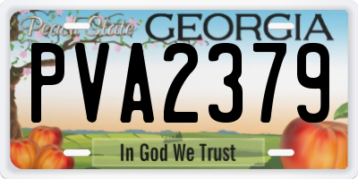 GA license plate PVA2379