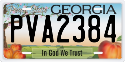 GA license plate PVA2384