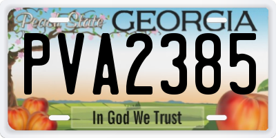 GA license plate PVA2385