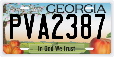 GA license plate PVA2387