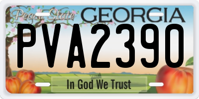 GA license plate PVA2390